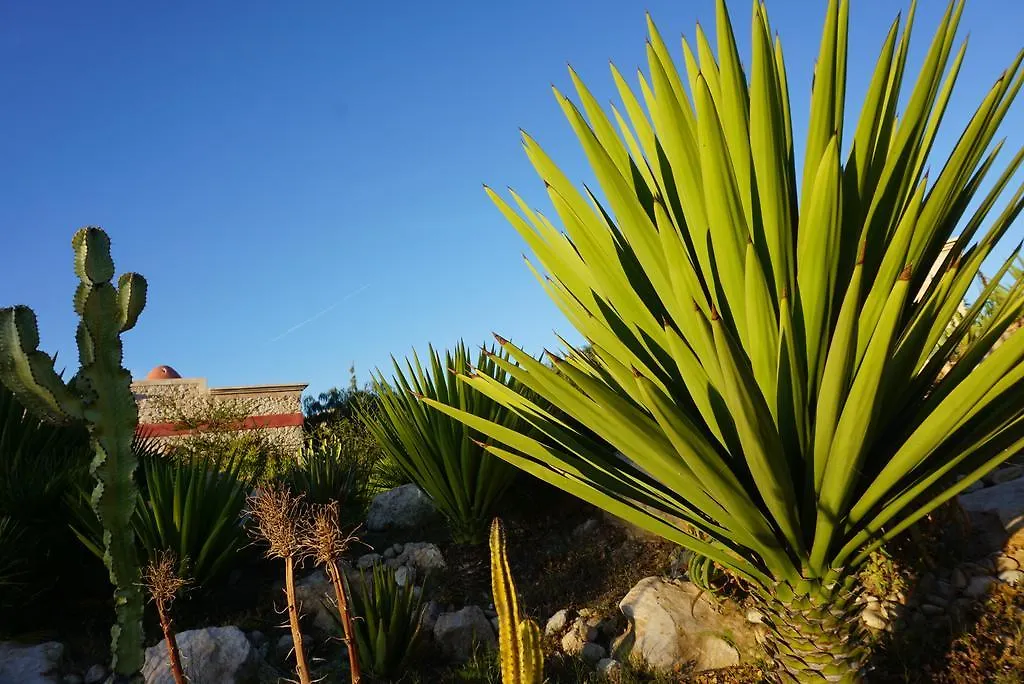 Bed and Breakfast Douar Noujoum Esauira 0*,  Marruecos